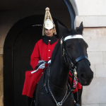 Westminster Walking Historic Tours, Horse Guards