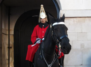 Westminster Walking Historic Tours, Horse Guards